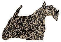 Cansas' HOMELAND — “Indi”