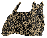 Profile image of Cansas' HOMELAND