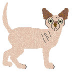 Profile image of Glitterfeet's Queens Nose