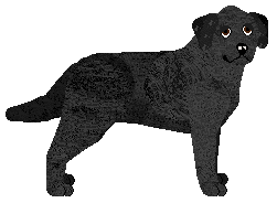 Profile image of CAMERA OBSCURA z Szuwarów