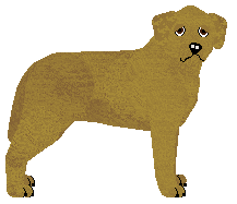 Profile image of Steadfast Looks Like Gabryś