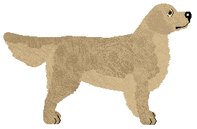 Shenanigans Adventure Of A Lifetime — “Zephyr”