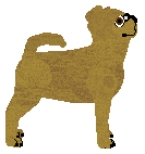 Silkwitch Annoying Toad — “Penny”