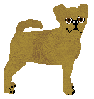 Profile image of Silkwitch Annoying Toad