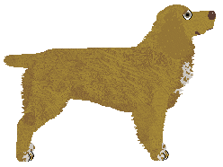 Tesla's Midnight Queen — “Florinda”