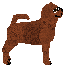 Silkwitch Stop Jumping — “Dime”