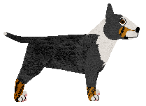 Cansas' It's A War — “Bentley”