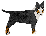 Profile image of Cansas' It's A War