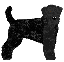 Profile image of Pumpkin Latte of Van Tassel