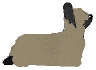 Energizing Long, Long, Long — “Carrie”