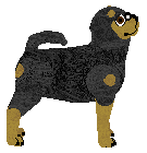 Silkwitch Why Are You Like This — “Euro”