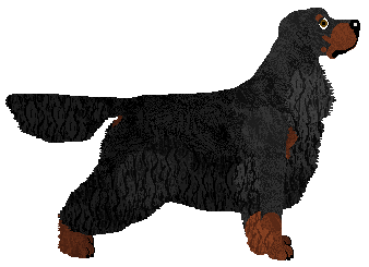 Wolf's Cover Me In Diamond Rain — “Dim”