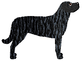 Cansas' Family Business — “Business”