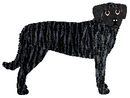 Profile image of Cansas' Family Business