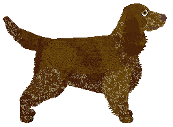 Maplewood's Sparks Between Us — “Liz”