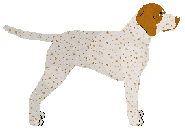 Cansas' Start A Riot — “Laurie”