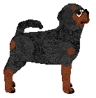 Silkwitch I Need You To Stop — “Cent”