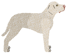 Cansas' Secret Stash — “Macy”