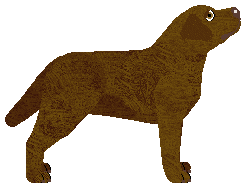 ACK's Spring Clouds — “Chmurka”