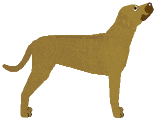 BFK's The Wind and Spark — “Amos”