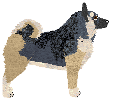 Koiyaki The Heat Is On — “Delta”