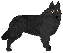 Profile image of Converse BELG DO PARY