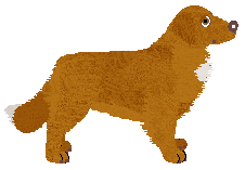 Morphee`s SZACHY CZARODZIEJÓW — “Mela”