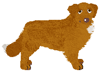 Profile image of Morphee`s SZACHY CZARODZIEJÓW