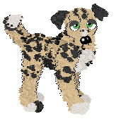 Profile image of Buttloaf’s Dot Com