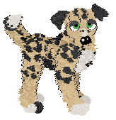 Profile image of Buttloaf’s Dot Com