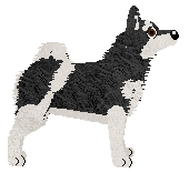 Silkwitch Golden Child — “Prussia”