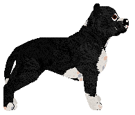 Dragonstone Mine Is The Fury — “Coal”