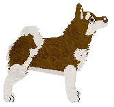 Silkwitch Overachiever — “Alaska”