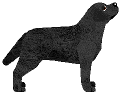 ACK's Take Me Home — “Homie”