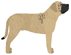 Cansas' Mood 4 Eva — “Atlanta”