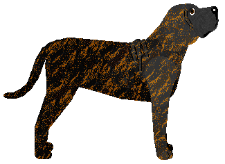 MHK/Cansas' Jim Beam Rye — “Rouet”