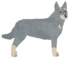 Eli's Oracle of Delphi — “Phoebe”