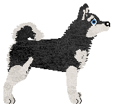 Silkwitch Gnomish Sled Dog — “Arctic”