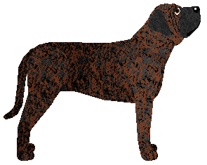 Rix Swan Song — “Sage”