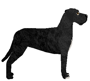 Blizzard EMOTIONAL MACHINE — “Korra”