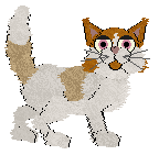 Amphigory's Nirvana at Wild Road — “Arahant”