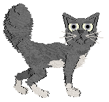 HK's I'm In A Crisis at Wild Road — “Crisis”