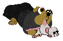 Obzocky's Got To Dach — “Kyle”