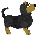 Obzocky's Got To Dach — “Kyle”