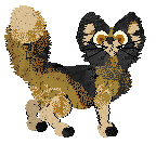 Billywix's I Run at Wild Road — “Yarrow”