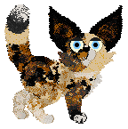 Billywix's She's Like A Rose at Wild Road — “Rozen”