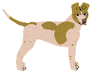 Profile image of Dragosani BRAKUJĄCY ELEMENT