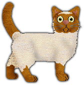 Profile image of Blizzard How to disappear completely