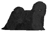Profile image of Energizing Holly Dolly