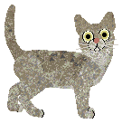 Profile image of Glitterfeet's Pony Club Ball